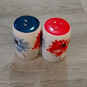 Salt and pepper shaker